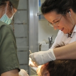 dr-varga-rita-2008-dental-world5